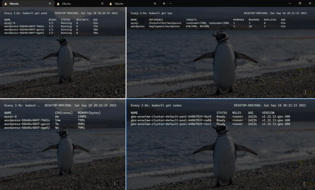 Imagem de pods do kubernetes rodando em terminais linux na distribuição Ubuntu