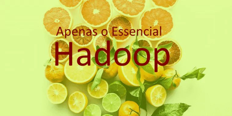 O Hadoop materializou o conceito de bigdata e modificou toda a forma em que o mercado encara os dados. Ele tem uma arquitetura muito bem feita para suportar grandes volumes. Ele possui um sistema de arquivos distribuidos, o HDFS, que lida com esse problema. Além disso há o map-reduce que em alinhamento com o HDFS produz cálculos em massas inacreditáveis de dados: Ainda que utilizando vários computadores de desempenho mediano. Por fim o Yarn possibilizou uma maior extensibilidade do produto, dando abertura para novas ferramentas como o Zookeeper, Pig ou Spark. O Essencial do Hadoop dá uma visão panorâmica sobre o produto além de pequenos exemplos.