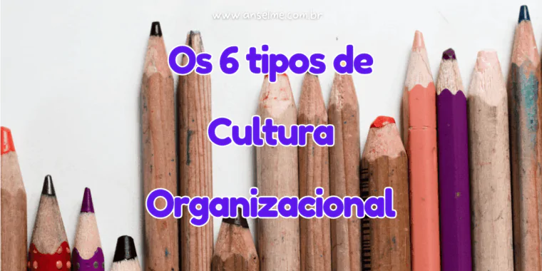 Os 6 tipos de Cultura Organizacional: Cultura não é acessório, é estrutura invisível. Ela dita o tom, molda comportamentos e, muitas vezes, decide mais do que qualquer plano estratégico. Ignorar a cultura é apostar no improviso: e normalmente sai caro. Por outro lado, entendê-la, nomeá-la e, quando necessário, transformá-la é um dos maiores atos de liderança. Porque no fim das contas, não é a cultura que se adapta à estratégia, é a estratégia que só funciona se estiver alinhada à cultura certa.
