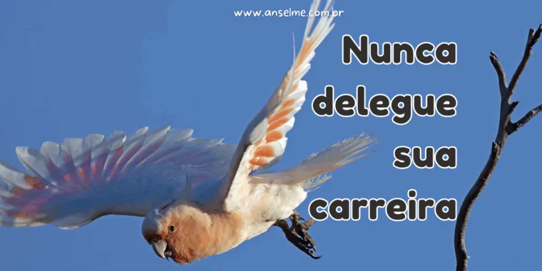 Nunca delegue sua carreira